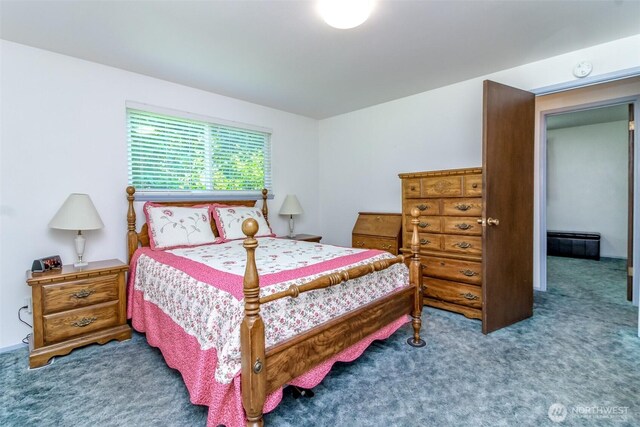 13632 183rd Ave SE, Renton, WA 98059 - photo 19