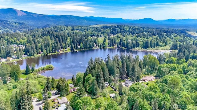 13632 183rd Ave SE, Renton, WA 98059 - photo 36