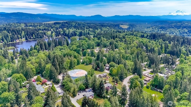 13632 183rd Ave SE, Renton, WA 98059 - photo 35