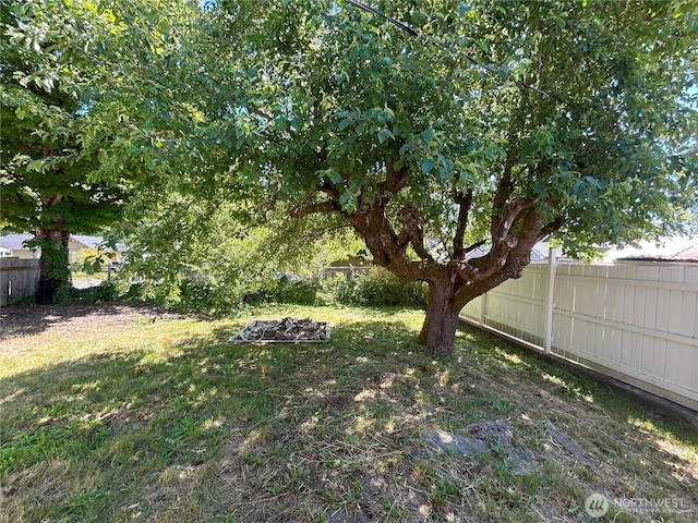 425 Henry St, Shelton, WA 98584 - view of yard