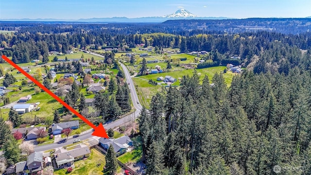 4002 Indian Summer Dr SE, Olympia, WA 98513 - photo 4