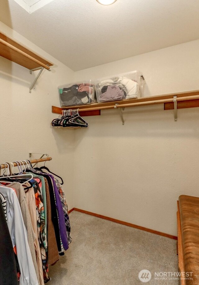 4002 Indian Summer Dr SE, Olympia, WA 98513 - photo 22