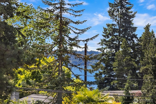 4142 52nd Ave SW, Seattle, WA 98116 - water view