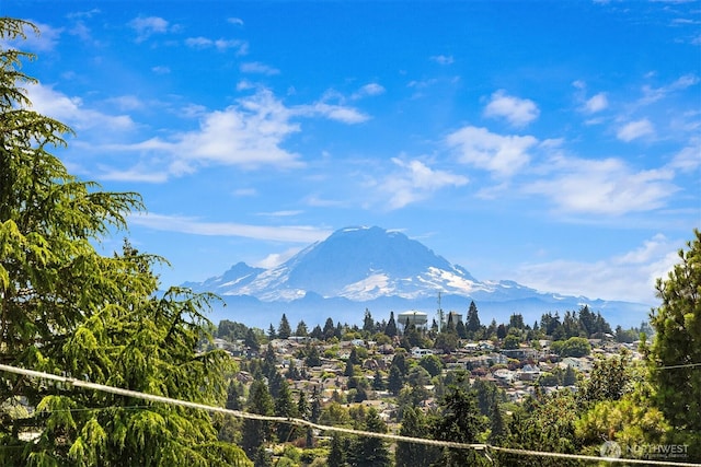 4142 52nd Ave SW, Seattle, WA 98116 - mountain view