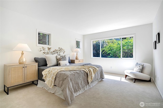 11229 NE 106th Pl, Kirkland, WA 98033 - photo 14