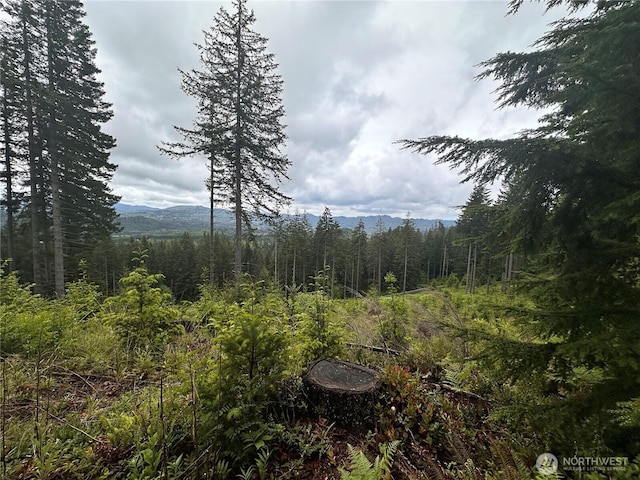 43903 NE Columbia Tie Rd, Amboy, WA 98601 - photo 8