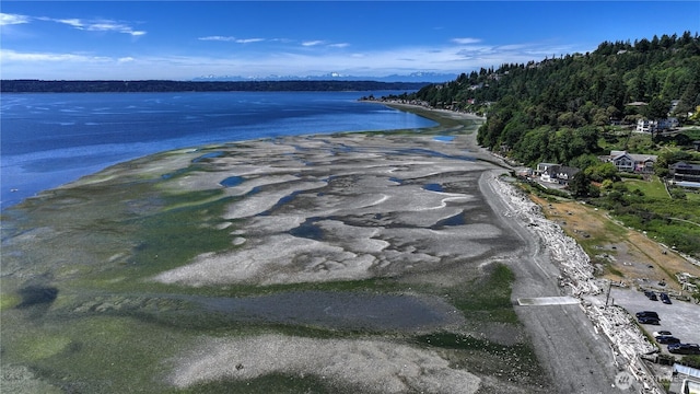 19678 Marine View Dr SW, Normandy Park, WA 98166 - water view