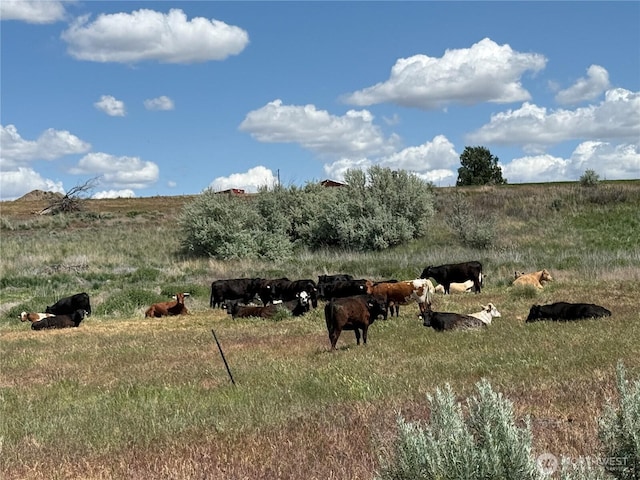 8708 Rd K Rd NE, Moses Lake, WA 98837 - view of yard featuring a rural view