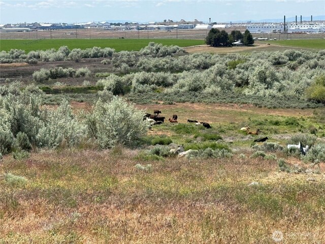 8708 Rd K Rd NE, Moses Lake, WA 98837 - view of nature featuring rural landscape