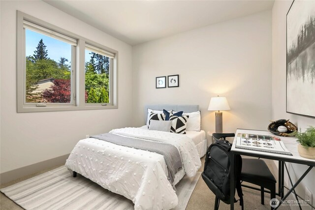 26505 NE Kennedy Dr, Duvall, WA 98019 - photo 29