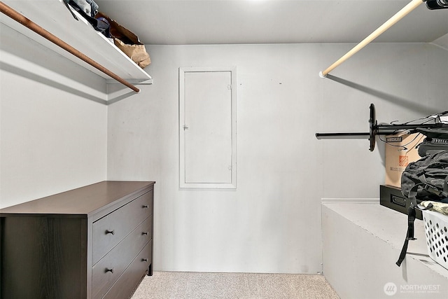 405 Calistoga St W, Orting, WA 98360 - spacious closet featuring carpet floors
