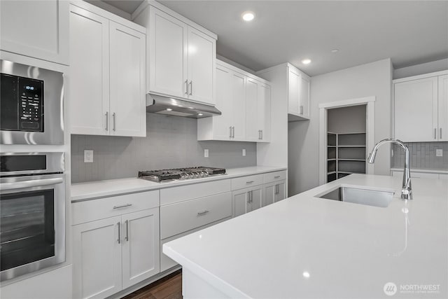 2609 S 7th Way, Ridgefield, WA 98642 - kitchen featuring appliances with stainless steel finishes, under cabinet range hood, a sink, light countertops, and recessed lighting