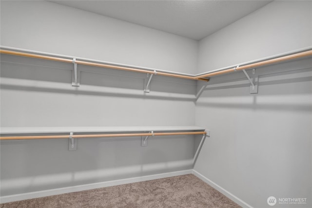 2609 S 7th Way, Ridgefield, WA 98642 - walk in closet featuring carpet