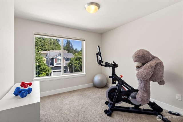 2232 Cady Dr, Snohomish, WA 98290 - photo 25