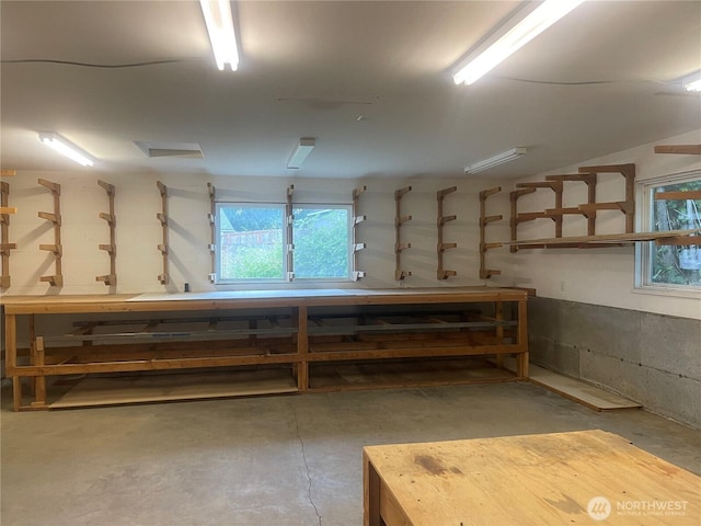 528 Chinook Way, Friday Harbor, WA 98250 - below grade area featuring a workshop area