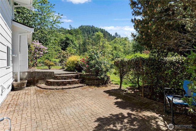 28713 SE 462nd Pl, Enumclaw, WA 98022 - view of patio / terrace with a wooded view