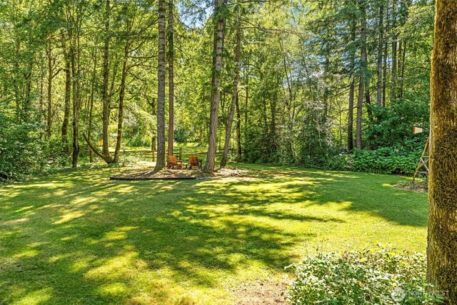 29311 NE 124th Ave, Battle Ground, WA 98604 - photo 22