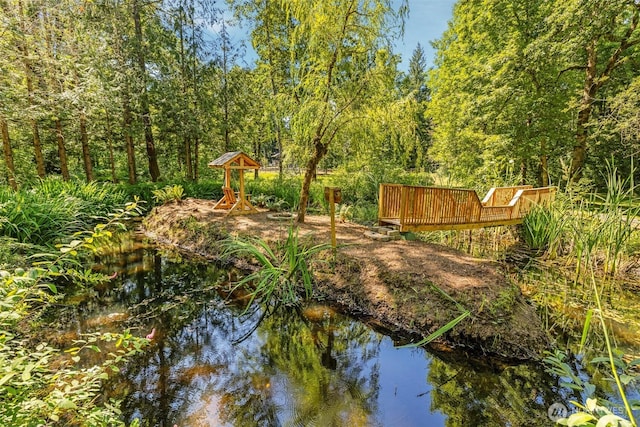 29311 NE 124th Ave, Battle Ground, WA 98604 - photo 35