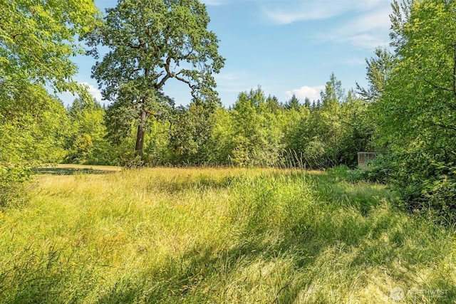 29311 NE 124th Ave, Battle Ground, WA 98604 - photo 37