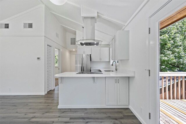 44251 Dalles Rd, Concrete, WA 98237 - kitchen with freestanding refrigerator, a sink, lofted ceiling, island exhaust hood, and a peninsula