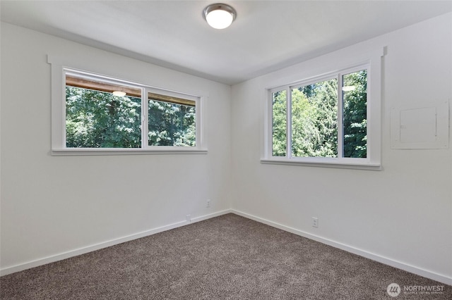 44251 Dalles Rd, Concrete, WA 98237 - spare room with carpet and baseboards
