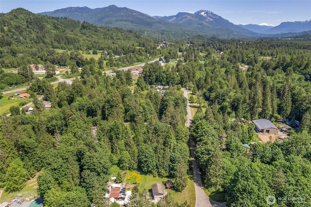 44251 Dalles Rd, Concrete, WA 98237 - aerial view of property's location featuring a forest and a mountain backdrop