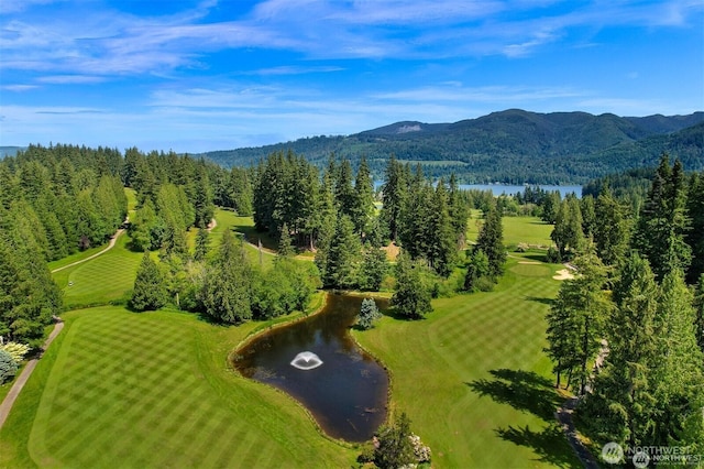 54 Grand View Ln, Bellingham, WA 98229 - photo 33
