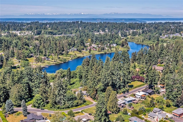 31006 38th Ave S, Auburn, WA 98001 - bird's eye view of a heavily wooded area and a large body of water