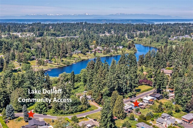 31006 38th Ave S, Auburn, WA 98001 - aerial view of a forest and a nearby body of water