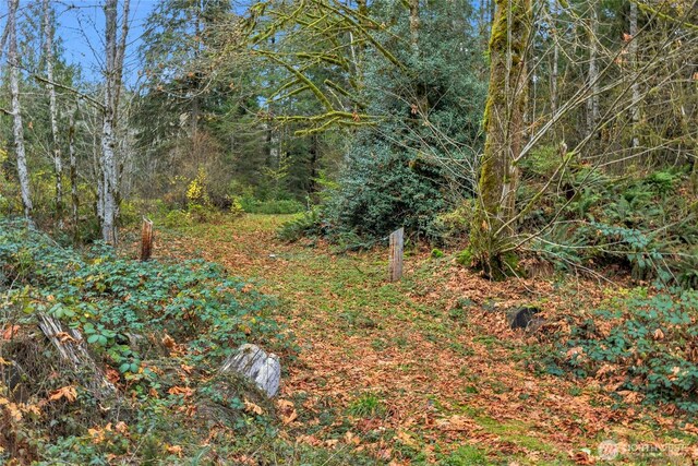 31921 363rd Ave NE, Arlington, WA 98223 - photo 6