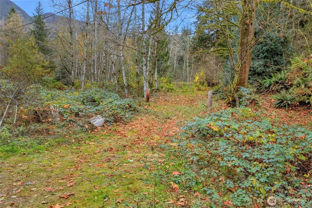 31921 363rd Ave NE, Arlington, WA 98223 - photo 7