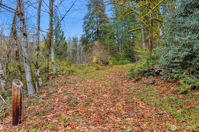 31921 363rd Ave NE, Arlington, WA 98223 - photo 8