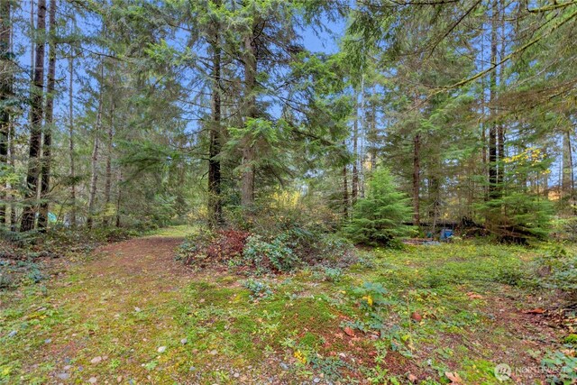 31921 363rd Ave NE, Arlington, WA 98223 - photo 12