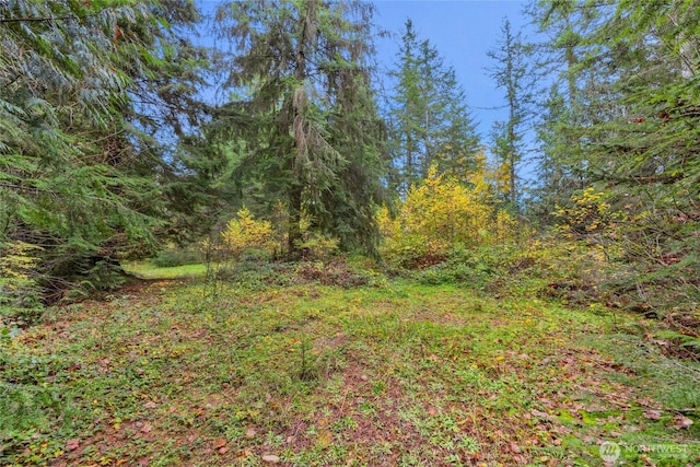31921 363rd Ave NE, Arlington, WA 98223 - photo 13