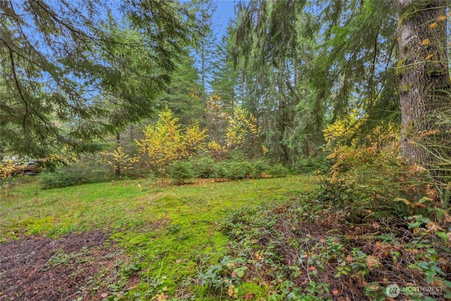 31921 363rd Ave NE, Arlington, WA 98223 - photo 16