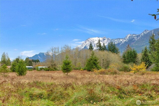 31921 363rd Ave NE, Arlington, WA 98223 - photo 18