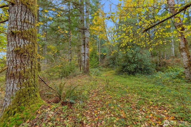31921 363rd Ave NE, Arlington, WA 98223 - photo 20