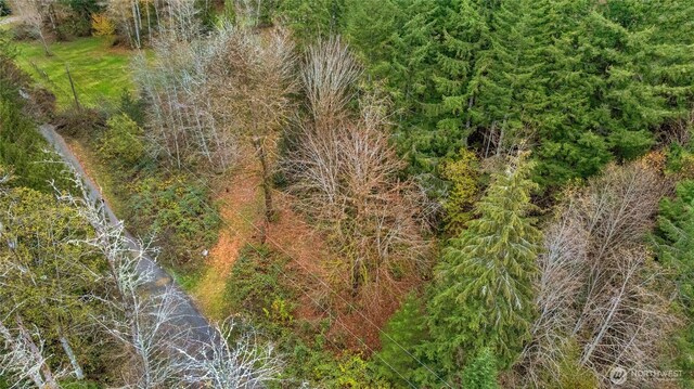 31921 363rd Ave NE, Arlington, WA 98223 - photo 21