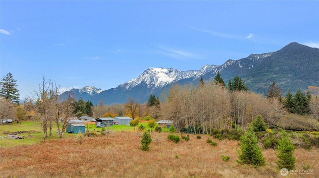 31921 363rd Ave NE, Arlington, WA 98223 - photo 30