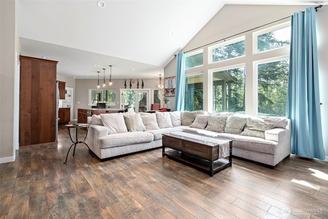 1566 Deer Ridge Rd, Oak Harbor, WA 98277 - living room with dark wood-style floors, high vaulted ceiling, and recessed lighting