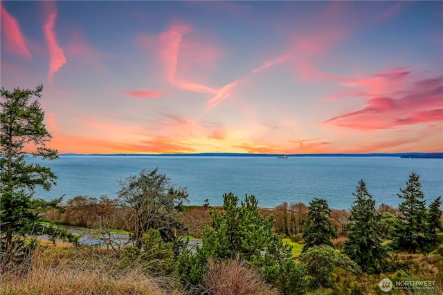 20010 3rd Ave NW, Shoreline, WA 98177 - water view