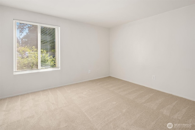 11012 NE 68th St Unit 511, Kirkland, WA 98033 - unfurnished room with light colored carpet and baseboards