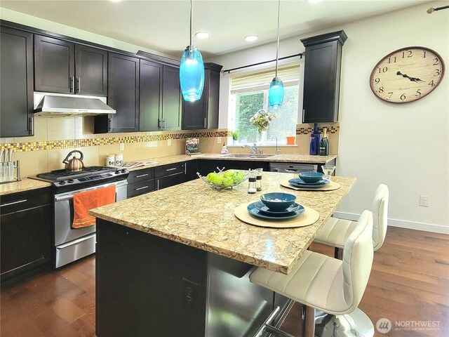 10279 238th Pl NE, Redmond, WA 98053 - photo 16
