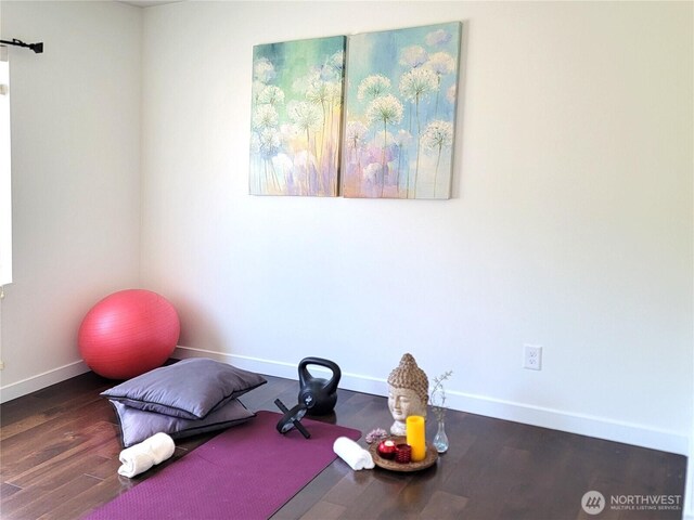 10279 238th Pl NE, Redmond, WA 98053 - photo 33