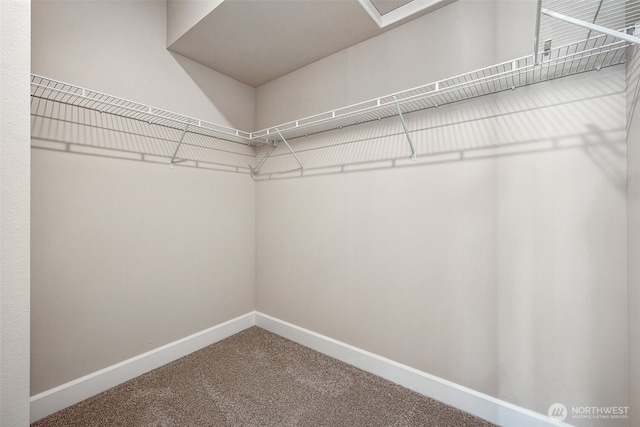 13912 181st St E Unit 62, Puyallup, WA 98374 - walk in closet with carpet