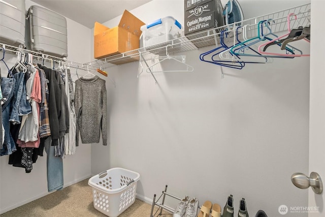 1082 G St SW, Tumwater, WA 98512 - spacious closet featuring carpet