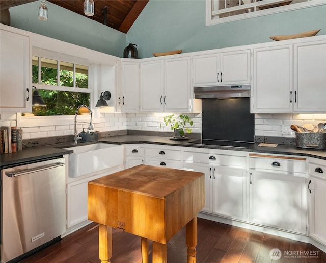 27603 145th Ave SW, Vashon, WA 98070 - kitchen with stainless steel dishwasher, under cabinet range hood, lofted ceiling, a sink, and dark countertops
