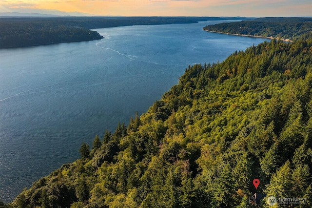 27603 145th Ave SW, Vashon, WA 98070 - aerial view at dusk of a water view and a view of trees