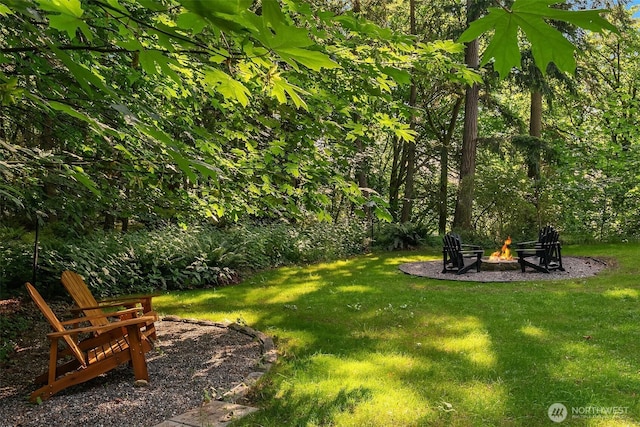 27603 145th Ave SW, Vashon, WA 98070 - view of green lawn with an outdoor fire pit