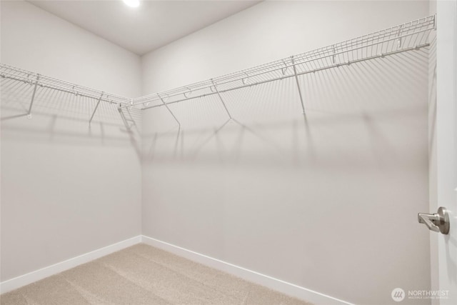 3704 98th Avenue Ct E Unit 1, Edgewood, WA 98371 - walk in closet featuring carpet flooring